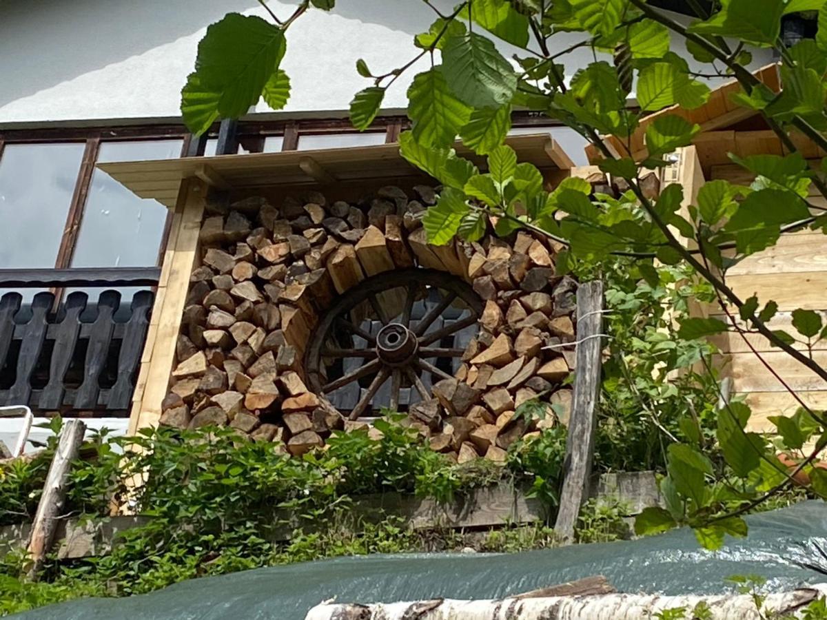 La Irmania Pension Ledenitzen Exteriör bild